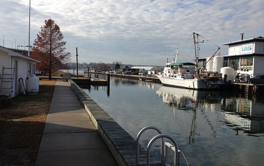 Franklin Marina Renovations